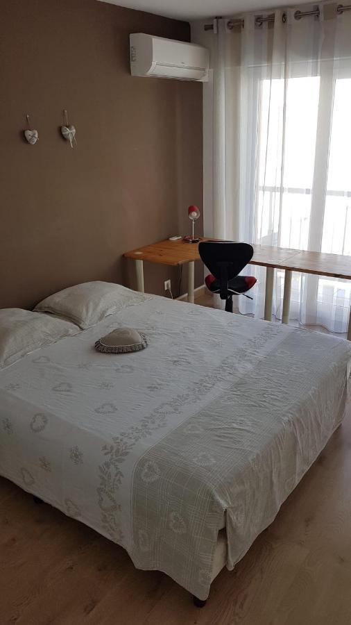 Tres Beau 3 Pieces Spacieux Lumineux Et Climatise Nice Buitenkant foto